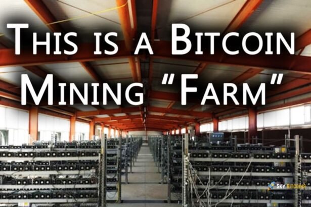 Bitcoin Mining Farms: Foundational to the Crypto Economy