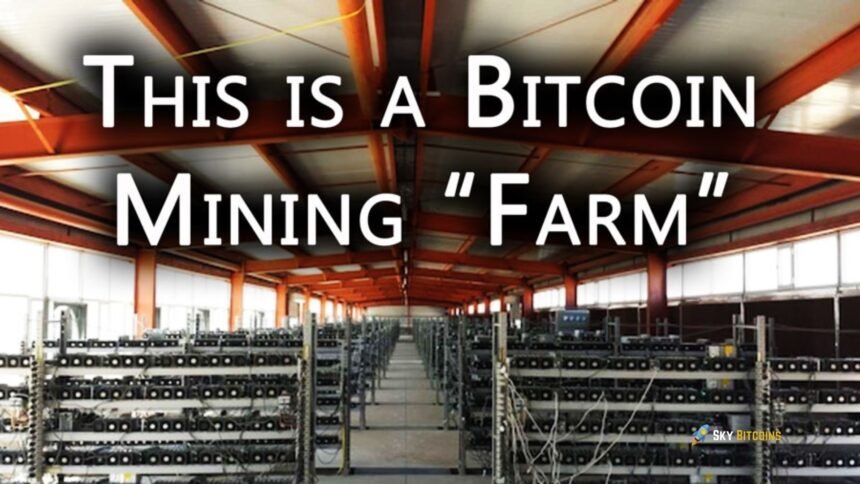 Bitcoin Mining Farms: Foundational to the Crypto Economy