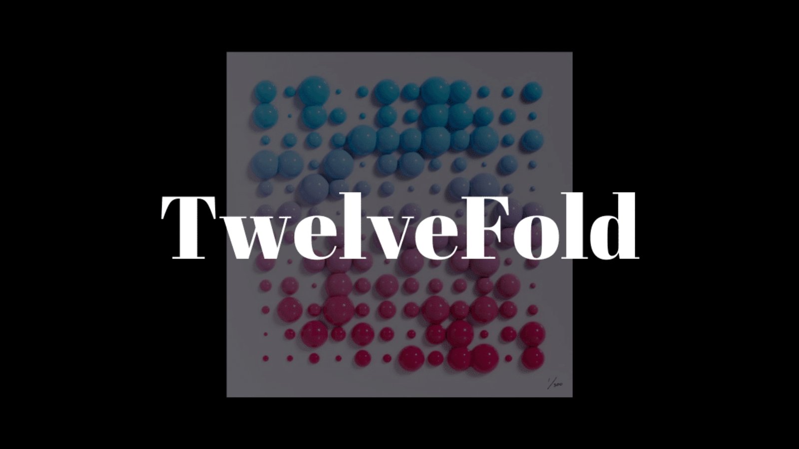 TwelveFold 