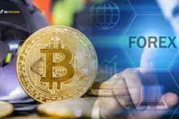 Bitcoin Forex Trading Platforms: A Comprehensive Guide