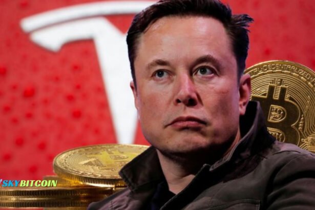 Tesla Doubling Bitcoin