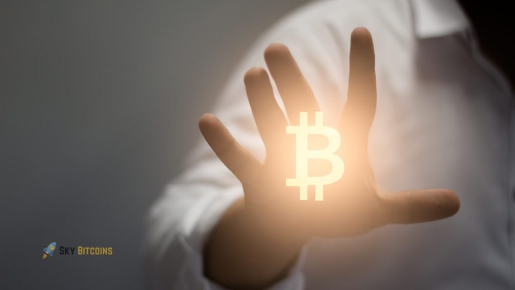 The Bitcoin Paradox Born to disrupt traditional finance Bitcoin Paradox Born