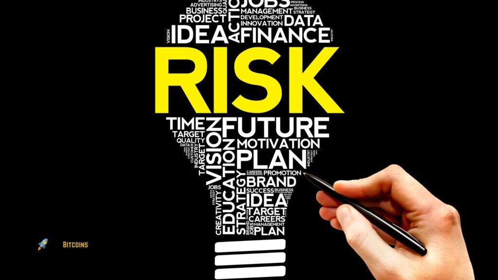 Bitcoin's price risk