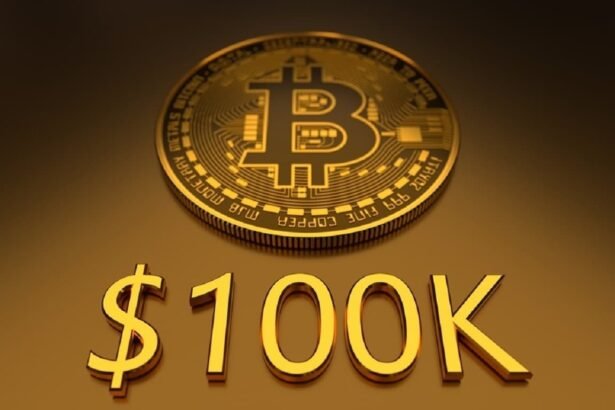 Bitcoin Hits $100K Top 10 Holders in 2024