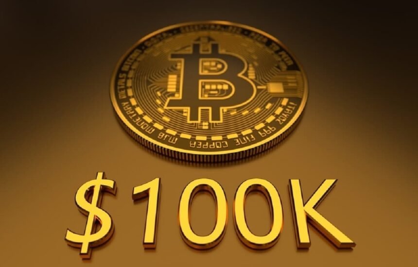 Bitcoin Hits $100K Top 10 Holders in 2024