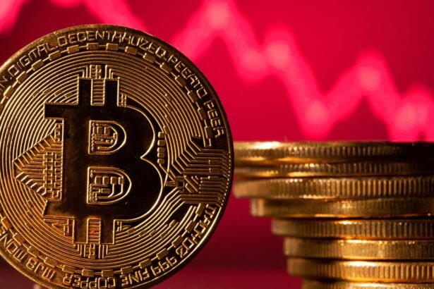 Montana's Bitcoin Reserve Bill Rejected by House Lawmakers