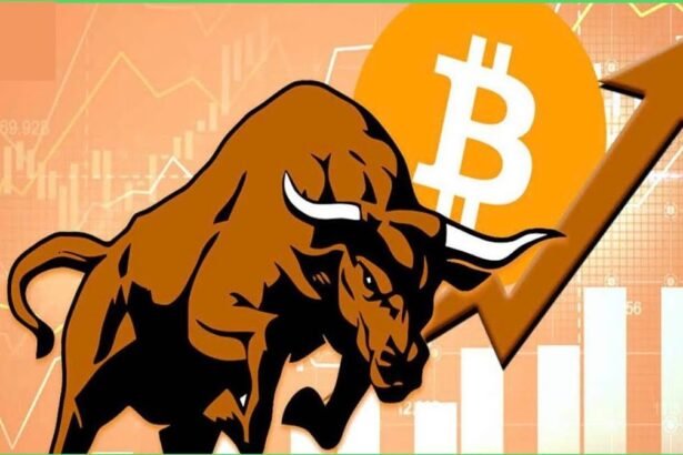 Bitcoin’s Illiquid Supply