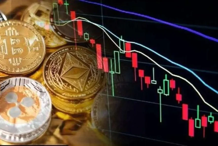 Crypto Market Update