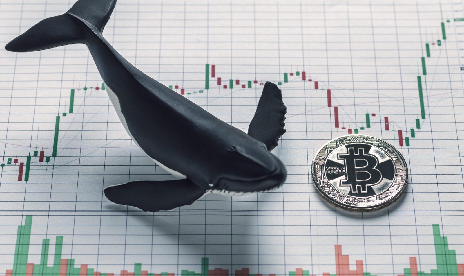 Whales Signal Bitcoin Breakout