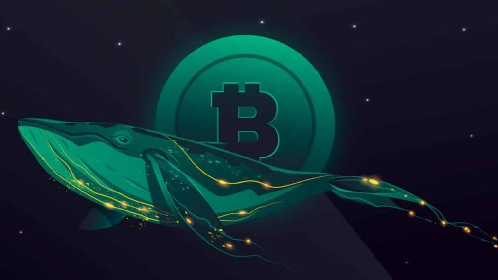 Bitcoin Price Whale Movements Today