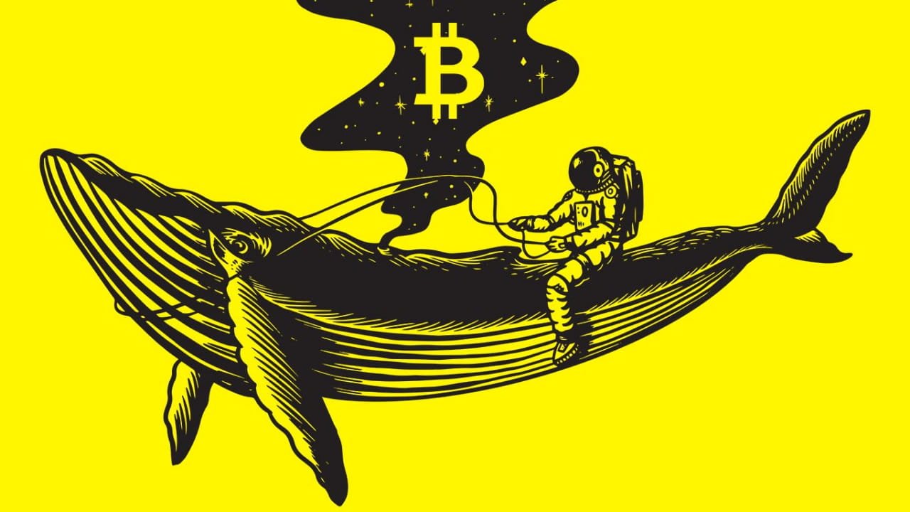 Technical Analysis of Whale Movement Patterns
